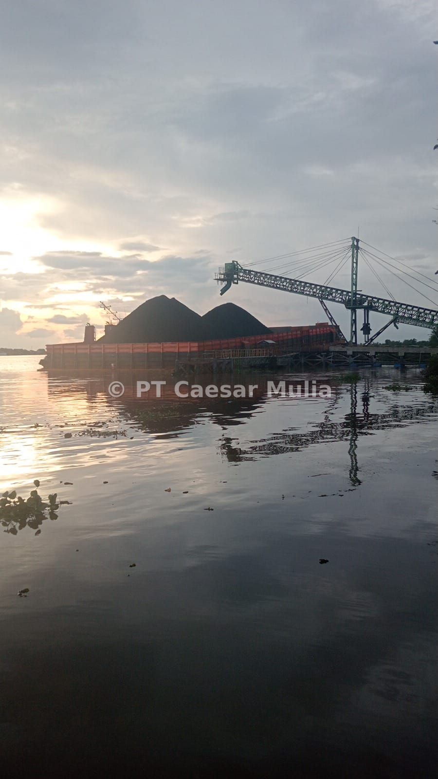 Proses Loading Batubara Ke Dalam Jetty
